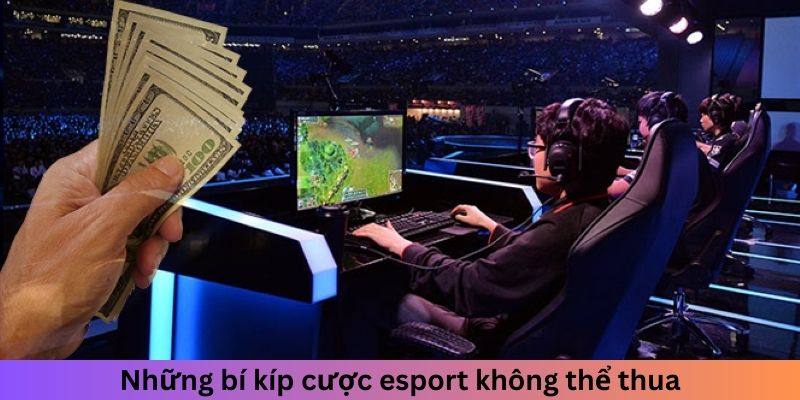 Những bí kíp cá độ esports không thể thua