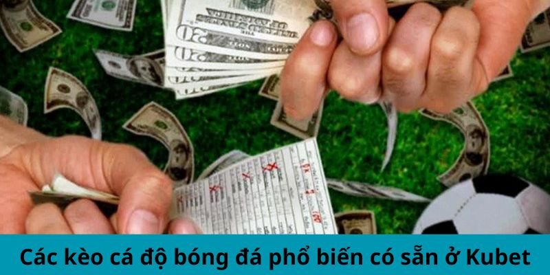 Các kèo cá độ bóng đá phổ biến có sẵn ở Kubet