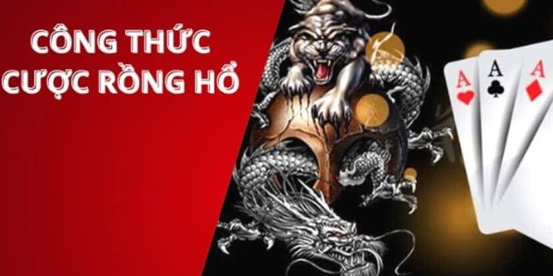 Công thức cược Dragon Tiger