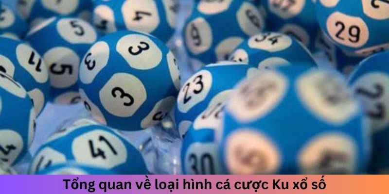 Tổng quan về loại hình cá cược xổ số tại Kubet