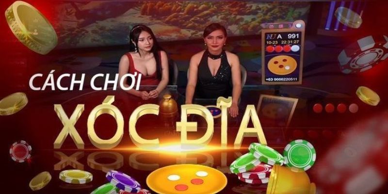 Trò chơi đưa ra khá nhiều lựa chọn đặt cược cho khách hàng