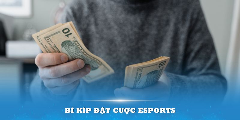 Bí kíp đặt cược esports dễ áp dụng cho tân thủ