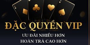 VIP - Gia Nhập Thế Giới Thượng Lưu Tại Sân Chơi Kubet