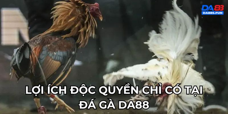 loi-ich-doc-quyen-chi-co-tai-da-ga-da88