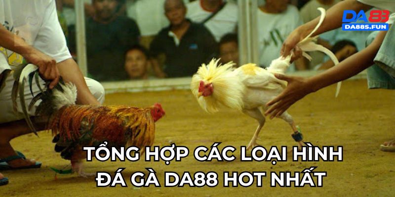 tong-hop-cac-loai-hinh-da-ga-da88-hot-nhat